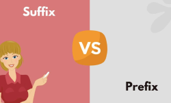 Featured image of post Prefix Diff Suffix